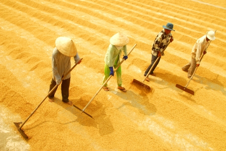 Thêm luồng sinh khí mới cho thị trường tài chính nông thôn