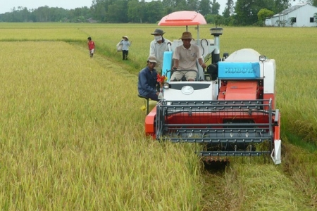 Chuyển đổi mô hình tăng trưởng tín dụng
