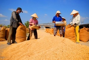 Tín dụng xuất khẩu “bám sát” tam nông