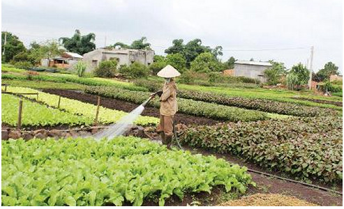 QTDND Hòa Khánh (Đắk Lắk): Trợ lực thành viên không chỉ từ dòng vốn