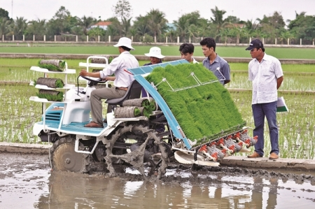 Nông nghiệp áp dụng công nghệ cao: Cơ chế riêng cho ngành đặc thù