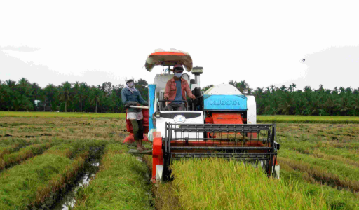 Hệ thống QTDND tại Nghệ An: Đòn bẩy phát triển kinh tế địa phương