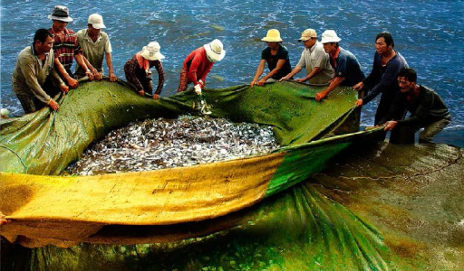 QTDND sẽ bị thu hồi giấy phép trong những trường hợp nào?