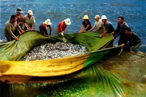 QTDND sẽ bị thu hồi giấy phép trong những trường hợp nào?
