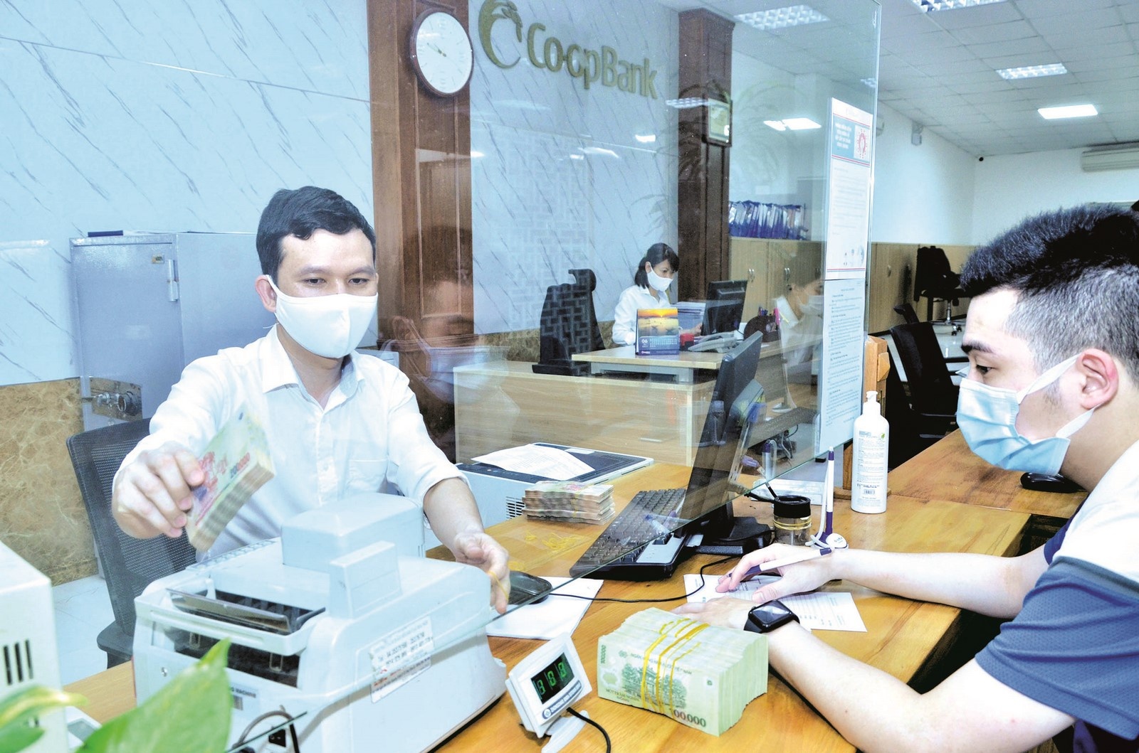 ngan hang hop tac xa viet nam chi nhanh hai ba trung ho tro quy tin dung nhan dan va phat trien kinh te dia phuong