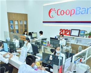 Cooperative Bank of Vietnam: Promoting financial inclusion