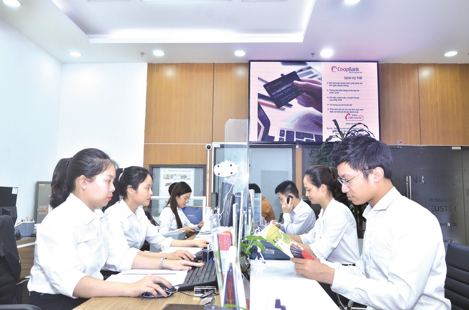 Ngân hàng Hợp tác xã Việt Nam: Ưu đãi riêng có cho đối tượng ưu tiên ngan hang hop tac xa viet nam uu dai rieng co cho doi tuong uu tien