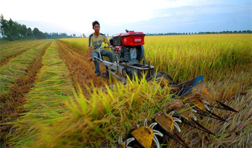 Banks’ roles in realizing financial inclusion