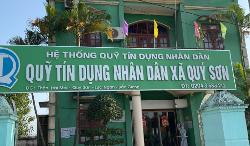 QTDND Quý Sơn góp sức đổi thay một miền quê…