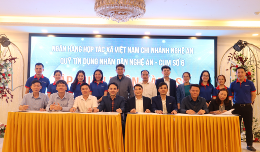 Co-opBank chi nhánh Nghệ An: Điểm sáng trong công tác hỗ trợ chuyển đổi số cho các QTDND