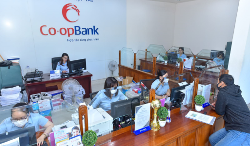 Co-opBank chi nhánh Hà Tĩnh: Tiếp sức cho các QTDND nâng cao năng lực hỗ trợ thành viên