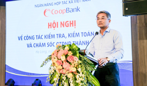 Nâng cao hiệu quả công tác kiểm tra, kiểm toán nội bộ và chăm sóc, hỗ trợ các QTDND thành viên
