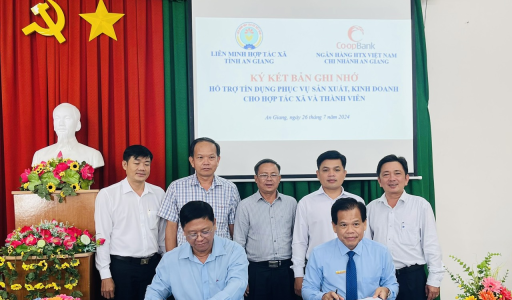 Co-opBank chi nhánh An Giang triển khai hỗ trợ tín dụng phục vụ sản xuất kinh doanh cho HTX và thành viên