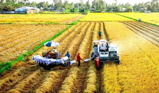 Những chính sách kinh tế nào sẽ có hiệu lực từ tháng 11 sắp tới?