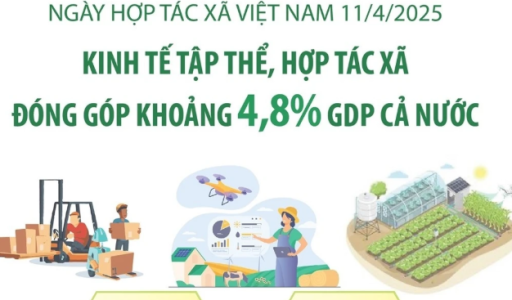 Kinh tế tập thể, hợp tác xã đóng góp khoảng 4,8% GDP cả nước