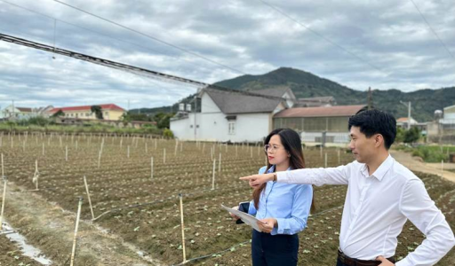 Co-opBank Lam Dong Branch: Shifting the Credit Structure – Aiming for Sustainable Growth