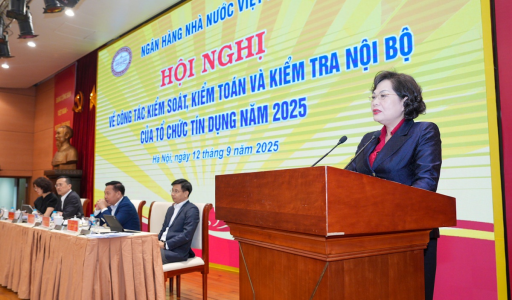 Strengthening Audit, Inspection and Internal Control in Credit Institutions