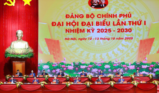 Đại hội Đảng bộ Chính phủ lần thứ I tiến hành phiên trù bị