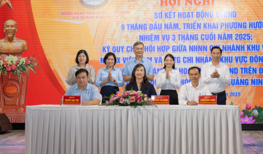 Củng cố nền tảng, thúc đẩy phát triển an toàn và bền vững