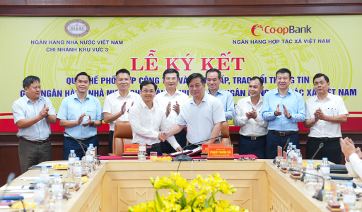 Enhance coordination to improve the operational efficiency of the PCF network