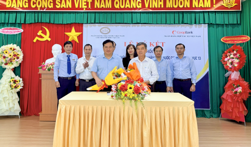Củng cố, thúc đẩy phát triển bền vững  hệ thống QTDND