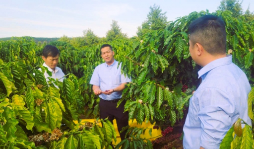 Giữ mạch vốn quỹ tín dụng nhân dân trong bối cảnh mới
