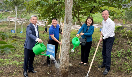 Co-opBank tham gia Chương trình “Về nguồn” và “Tết trồng cây” ngành Ngân hàng tại Tuyên Quang