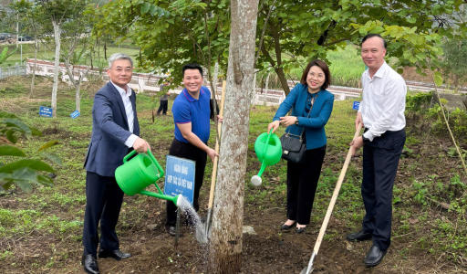 Co-opBank participates in the Banking Sector’s “Returning to the Roots” and “Tree Planting Festival” Program in Tuyen Quang