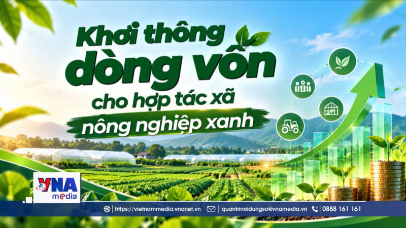 Khơi thông dòng vốn cho hợp tác xã nông nghiệp xanh